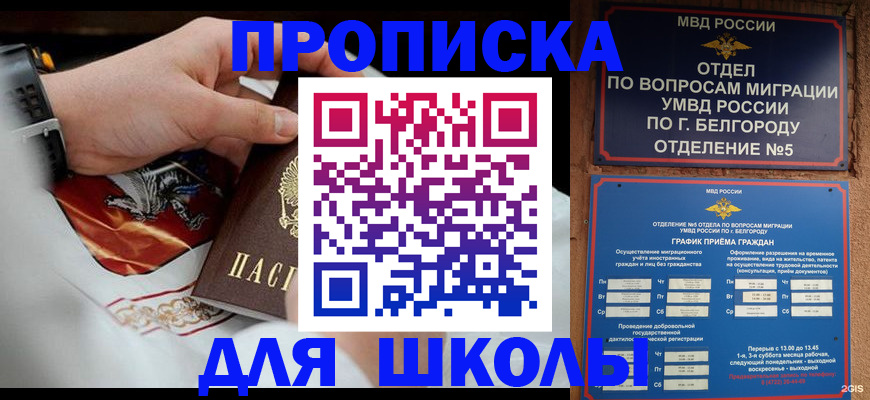 пропишу в квартире в Вяземском